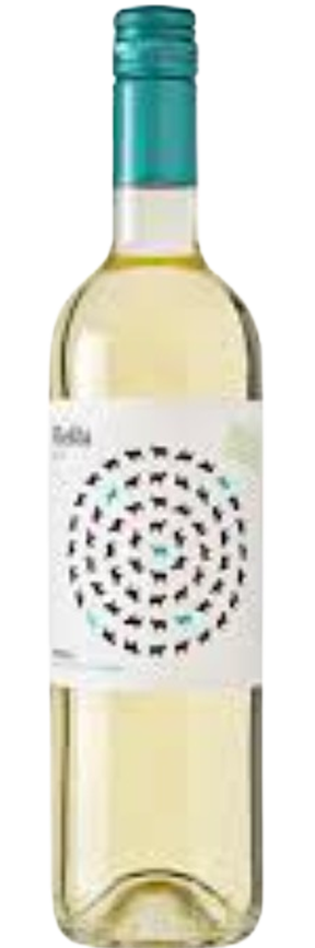 Mesta Verdejo 